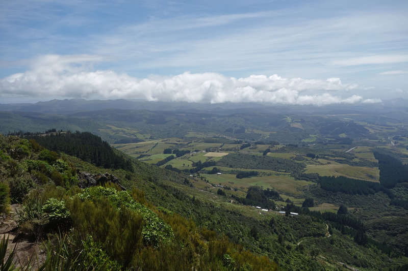 View northwest from Mount Cargill