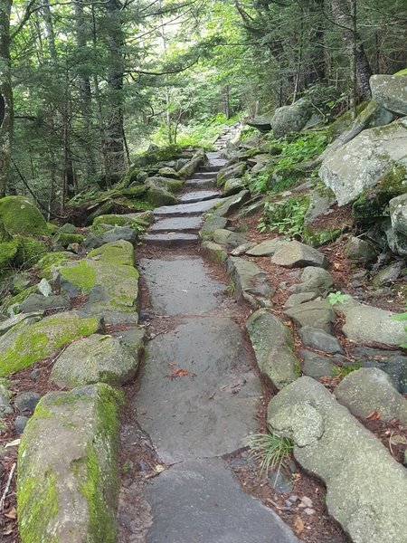 Heading back to Clingmans Dome, August 2017