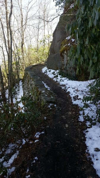 Nice to see rock walls in the middle of nowhere.  Spring 2017