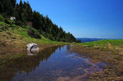 The seasonal tarn at 6,200 feet on Yocum Ridge