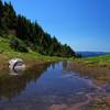 The seasonal tarn at 6,200 feet on Yocum Ridge