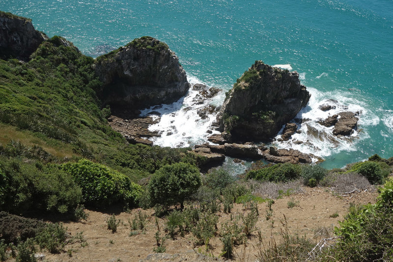 Below Nugget Point where the birds make their home