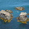 Three seaweed-skirted rocks below Nugget Point Lighthouse