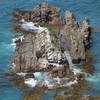 Seals play in the rocky channels below Nugget Point Lighthouse