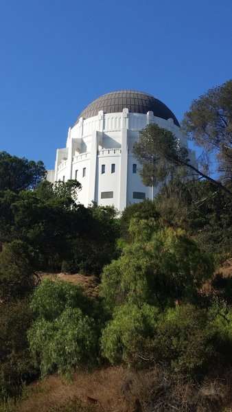 Griffith Observatory from below