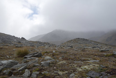 View northeast from near Lake Alta