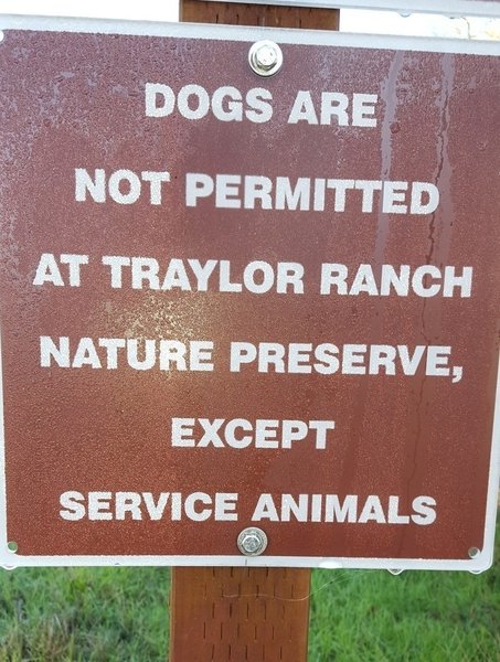 Service dogs only.