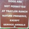 Service dogs only.