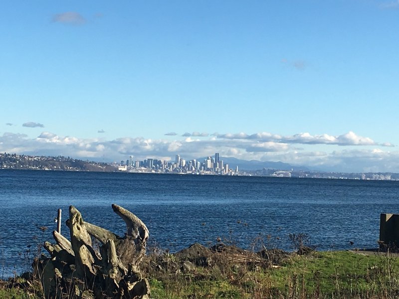 Views of the Seattle skyline at the start of the Cross Island Trail