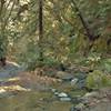 Hinckley Road runs along Hinckley Creek to this creek crossing.