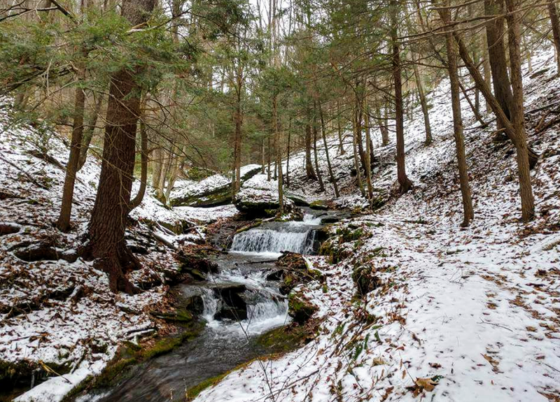 Healthy stream crossing