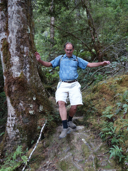 Hiker on the Blue Valley Track