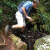 Hiker on the Blue Valley Track