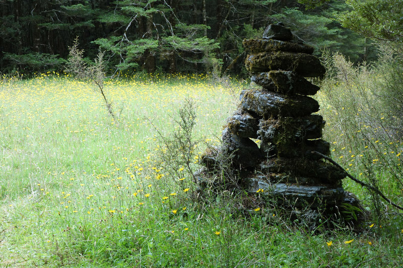 Stone marker for the Blue Valley Track at Camp Flat