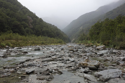 View upstream of the Blue River near Camp Flat
