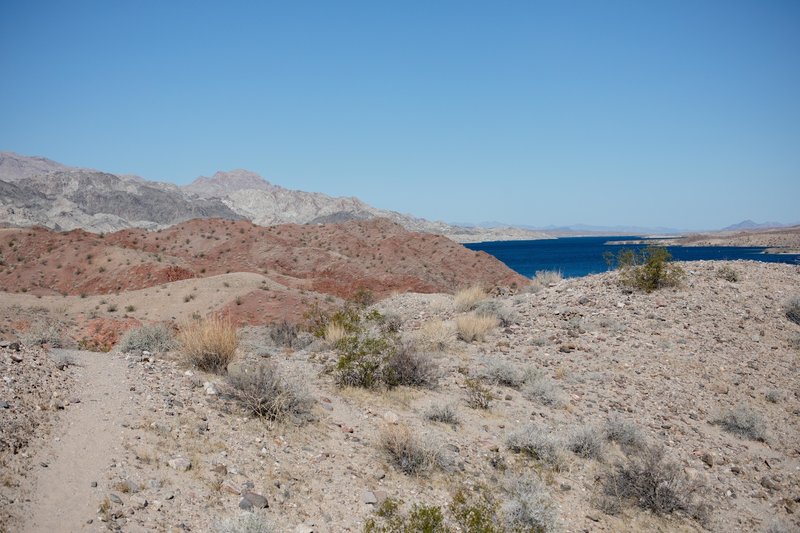 Lake Mead looking up lake. Telephone cove to the right.