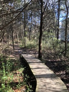 Short boardwalk near the Huguenot Rd. entrance.