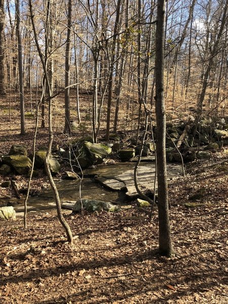 Creek running along the main trail.