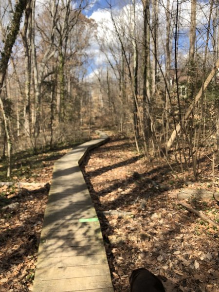 Boardwalk on the East/West trail near Old Holly Road.