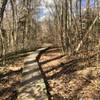 Boardwalk on the East/West trail near Old Holly Road.