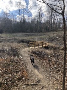 Bridge on the east side of the East/West trail.
