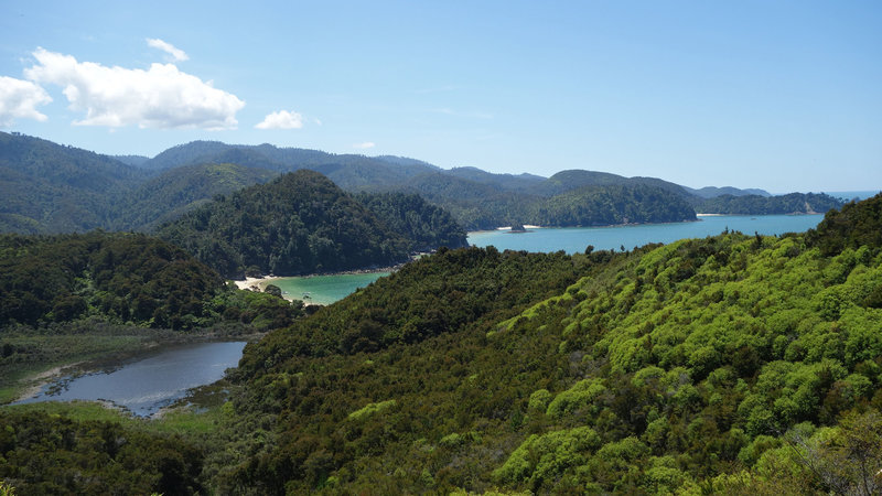 Anchorage Bay and Torrent Bay viewed from the Abel Tasman Coast Track