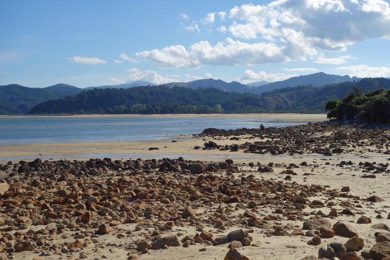 Tinline Bay along the Abel Tasman Coast Track