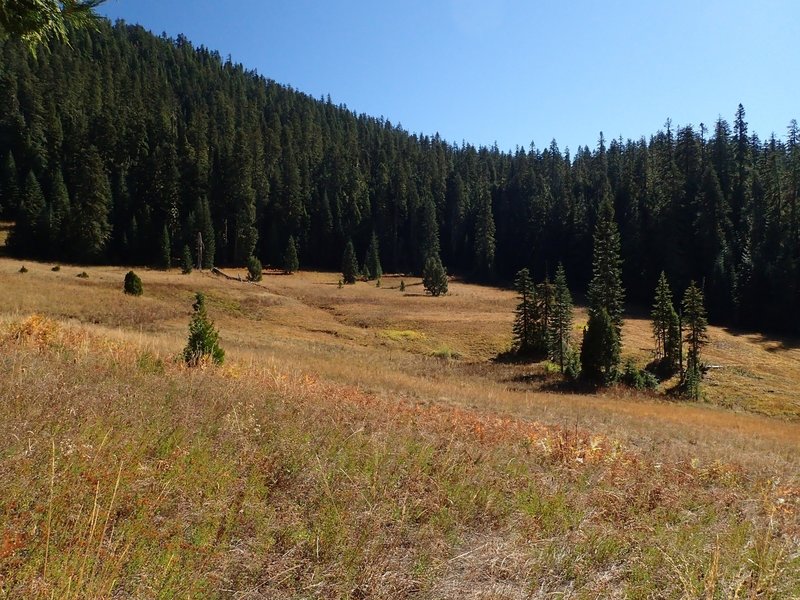 Highrock Meadow