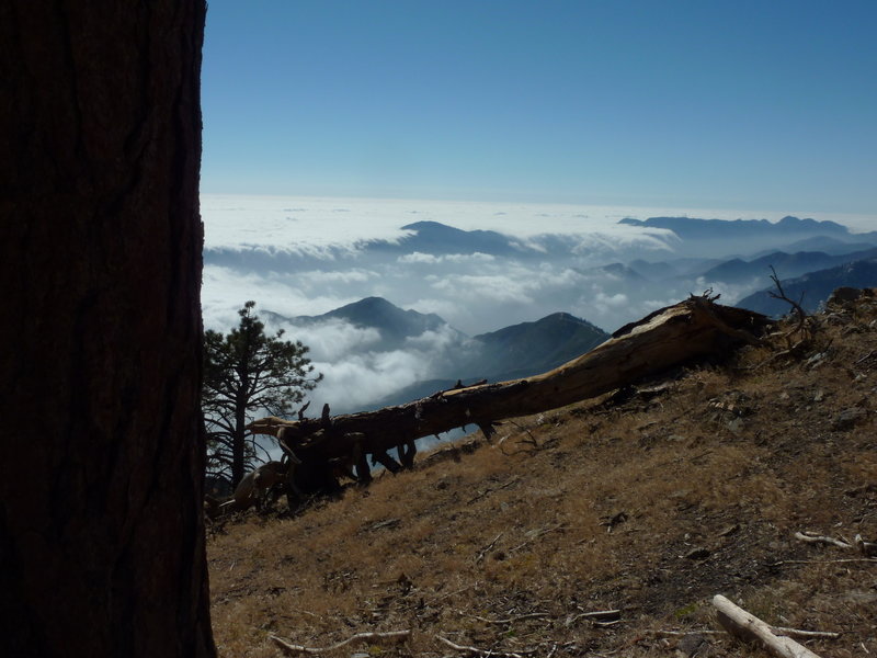 Monrovia Peak and Mt. Wilson from Hawkins Ridge