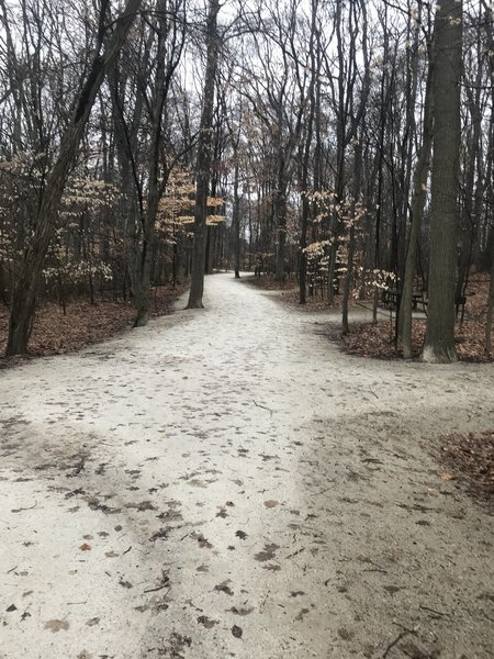 The beginning of the Piney Woods and Alder Trails