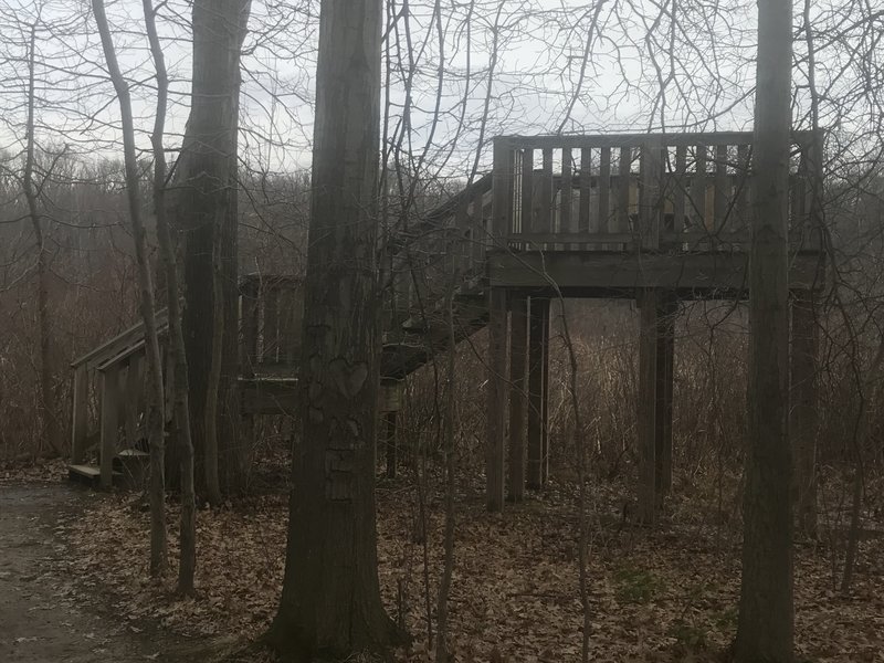 Observation deck overlooking the wetland