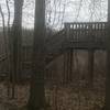 Observation deck overlooking the wetland