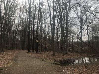Small creek that flows under the trail.