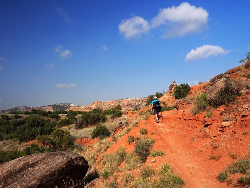 Along the trail