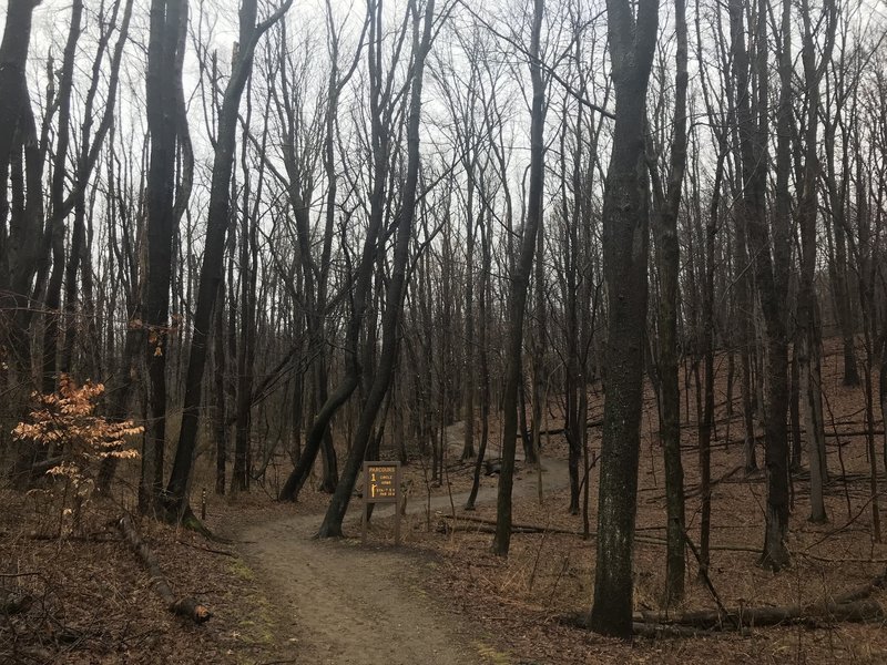 Trail winding through the park