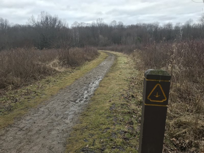 Trail marker for Pheasant Run Trail