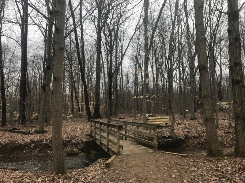 One of several short bridges on the trail