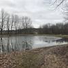 Nice pond as trail resumes after parking lot