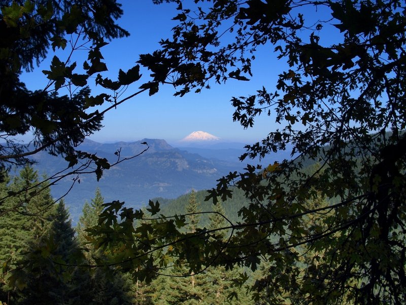 Mount Adams from the Franklin Ridge Trail