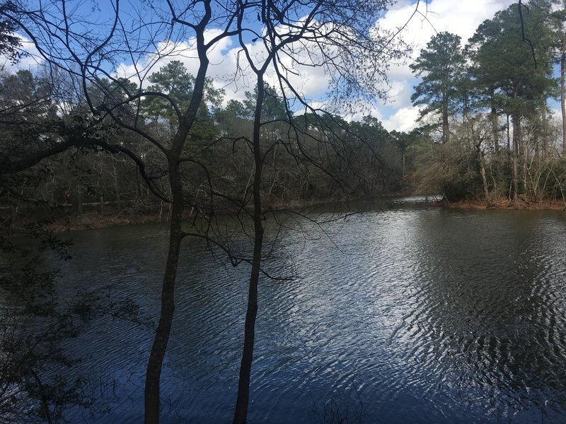 Plenty of beautiful lake views along the trail!