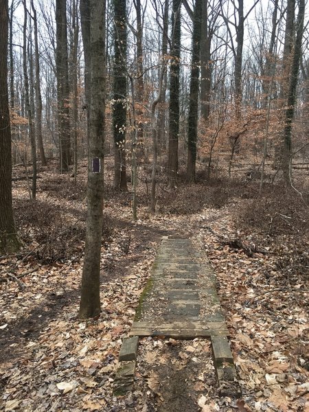 Wooden bridge before having to make a left turn