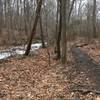 Trail running along the river.