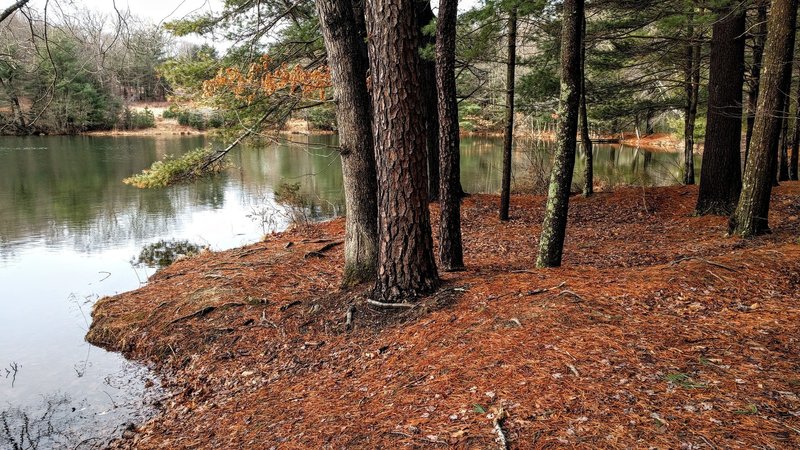 Just off the aptly named Pond Loop trail in Cliff Park, Pennsylvania