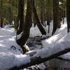 Ruckel Creek in winter