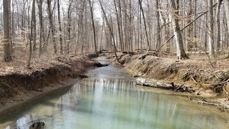 Creek running through Melzer Woods. Picture taken at North end.