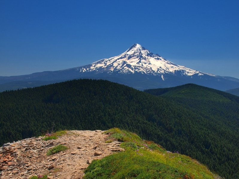 Mount Hood from Chinidere Mountain