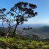 Diamond Head and Honolulu view