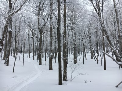 Winter