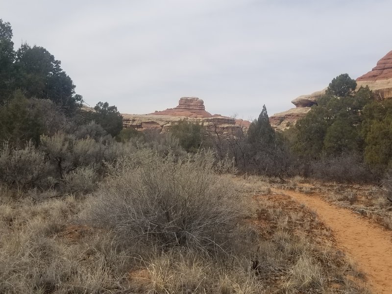 Sandy section of trail