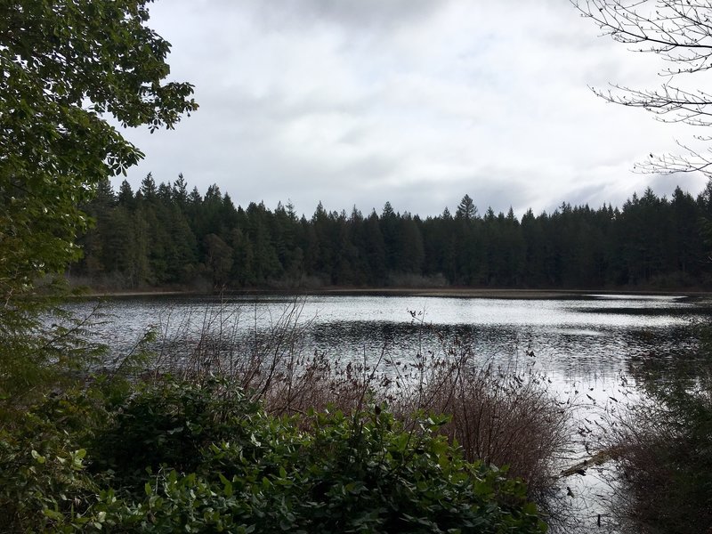 Gazzam Lake is accessible via a short spur from the Gazzam Main Trail.